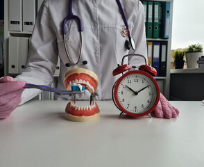 Dentist works in a dental hospital with an alarm clock and toothbrush and jaw