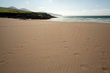 Nice day at the beach with a clear blue sky