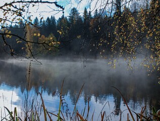 Misty day over a calm lake and forest in the countryside