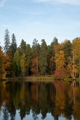 Calm lake and autumnal forest in the countryside