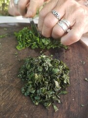 hands holding a bunch of herbs