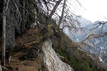 Erosion on Top of a Mountain In Julian Alps Slovenia