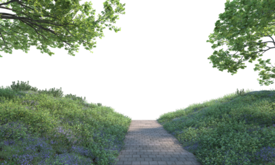 Way path through grass field and trees way path through grass field and trees