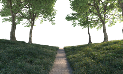 Way path through grass field and trees way path through grass field and trees