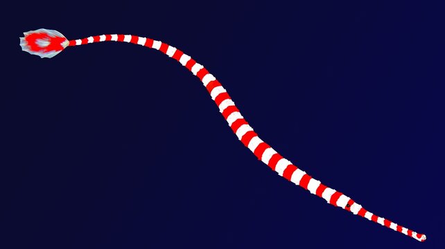 Banded pipefish spotted in tropical ocean,  Indo-Pacific region