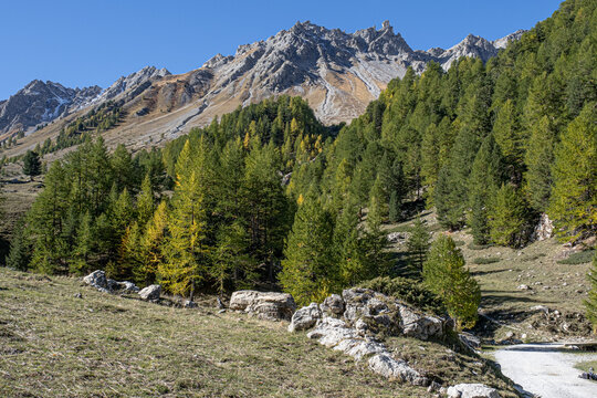 View of Bois des Ayes Biological Nature Reserve with Lac de I'Orceyrette in autumn, Briancon, France