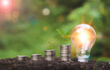 Tree growing on stack of coins and lightbulb on soil with green bokeh background, earn profits from operating results, Business Finance and Money concept, business development.
