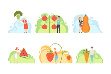 People Characters Harvesting Huge Vegetables and Fruits from Garden Vector Set