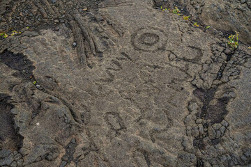 Prehistoric carving on a lava rock part of the Pu'u Loa Petroglyphs along the Chain of Craters Road in the Hawaiian Volcanoes National Park on the Big Island of Hawaii in the Pacific Ocean