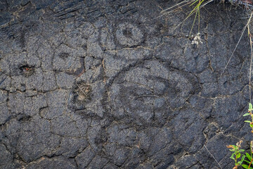 Prehistoric carving on a lava rock part of the Pu'u Loa Petroglyphs along the Chain of Craters Road in the Hawaiian Volcanoes National Park on the Big Island of Hawaii in the Pacific Ocean