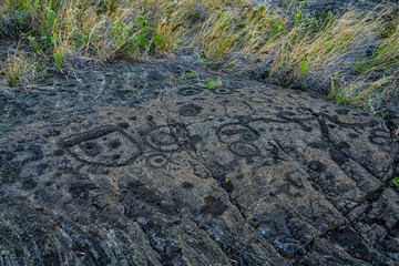 Prehistoric carving on a lava rock part of the Pu'u Loa Petroglyphs along the Chain of Craters Road in the Hawaiian Volcanoes National Park on the Big Island of Hawaii in the Pacific Ocean