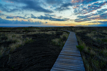 Obraz na płótnie Canvas Sunset on a boardwalk over the lava field of the Pu'u Loa Petroglyphs trail along the Chain of Craters Road in the Hawaiian Volcanoes National Park on the Big Island of Hawaii in the Pacific Ocean