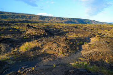 Lava field along the Pu'u Loa Petroglyphs trail along the Chain of Craters Road in the Hawaiian Volcanoes National Park on the Big Island of Hawaii in the Pacific Ocean