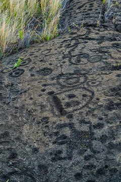 Prehistoric carving on a lava rock part of the Pu'u Loa Petroglyphs along the Chain of Craters Road in the Hawaiian Volcanoes National Park on the Big Island of Hawaii in the Pacific Ocean
