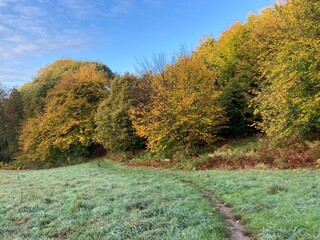 Feldweg zwischen Wald und Wiese in Hügellandschaft im Herbst bei schöner Laubfärbung