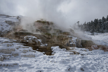 Mammoth hot springs in Yellowstone National Park in the Winter