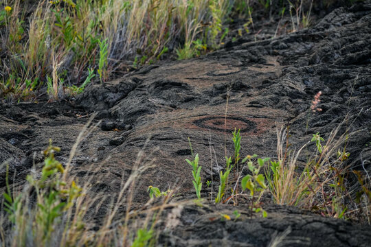 Prehistoric carving on a lava rock part of the Pu'u Loa Petroglyphs along the Chain of Craters Road in the Hawaiian Volcanoes National Park on the Big Island of Hawaii