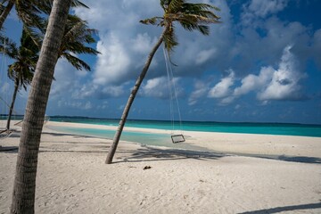 Fototapeta na wymiar swing on a palm tree on a lonely dream beach