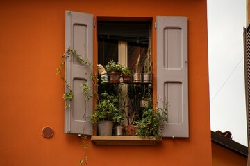 Fototapeta na wymiar Open wooden window panels with potted decorative plants on an orange house wall