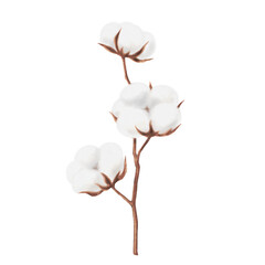 Cotton branch watercolor illustration. Cotton balls. 