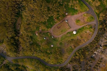Aerial shot of a road surrounded by wild nature