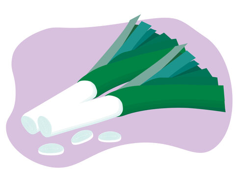 green onion, vector icon, onion batun