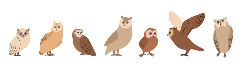Owls set, cute funny birds. Minimal art style, smart cartoon character. 