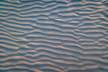 Relief sur le sable sur la plage