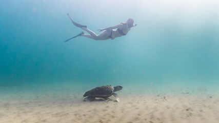 A young woman swims with a sea turtle at Shikmona, near Bat Galim Promenade, Haifa, Israel.