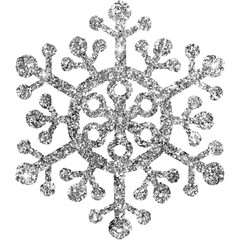 Silver Gold Glitter Snowflake