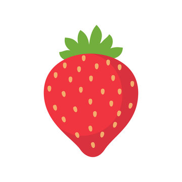 Strawberry vector. Sweet red fruit cut in half for a refreshing summer juice.