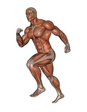 Muscular man running - 3D render