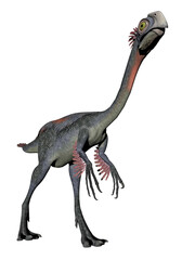 Fototapeta premium Gigantoraptor dinosaur - 3D render