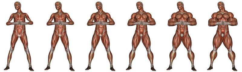 Naklejka premium Becoming a muscular man - 3D render