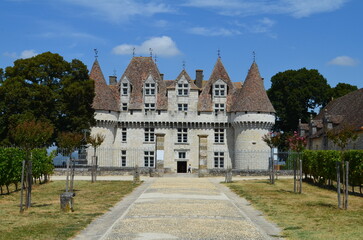 Fototapeta na wymiar Monbazillac (Dordogne - Nouvelle-Aquitaine - France)