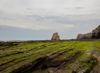 Green-covered rocky hill surface under the cloudy sky with a huge rock seen afar