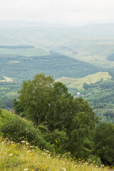 Obraz premium A beautiful landscape with green trees on hills and valleys in a foggy haze on a cloudy summer day and a space to copy in Kislovodsk russia