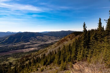 Beautiful landscape with forested hills and larch trees against the bright sky