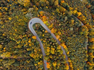Aerial view of the cars driving on winding road in middle of the colourful autumn forest.