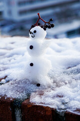 Vertical closeup of a snowman with blackberries on the head