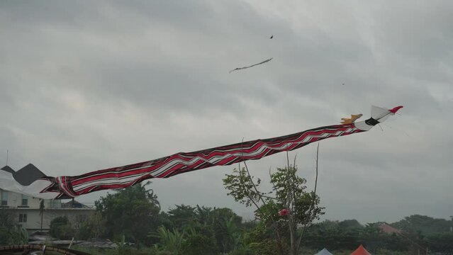 Balinese Traditional Kites JANGGAN and BEBEAN on Bali Kite Festival Summer Sky Slow Motion
