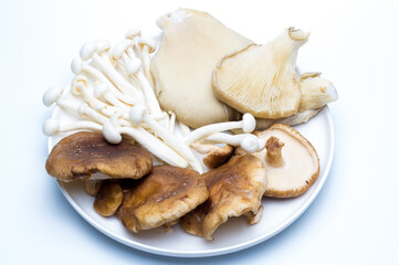 Mezcla de setas, shimeji, shiitake y pleurotus