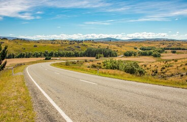 Empty countryside road passes through the trees and fields under the blue sky in New Zealand