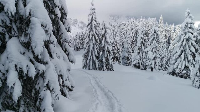 A beautiful winter landscape while hiking in the winter mountains. POV