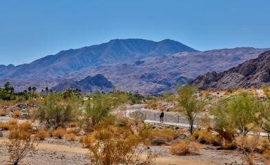 Scenic view of a person riding a bicycle on the street in desert against mountains