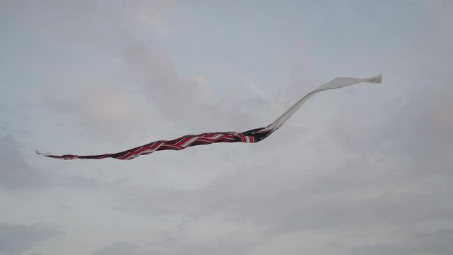 Balinese Traditional Kites JANGGAN and BEBEAN on Bali Kite Festival Summer Sky Slow Motion