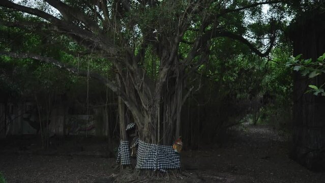 Taman Festival, The Ghostly Abandoned Theme Park in Padang Galak Bali, Indonesia