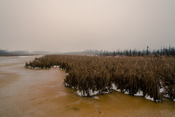 misty morning on the river Mer Bleue