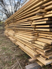 Vertical shot of cut wood