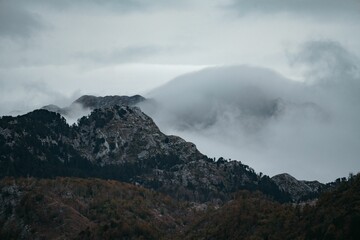 Aerial view of a beautiful forest near the mountains